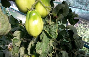 Agriturismo Raethia - Foto 50