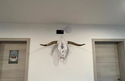 Ranchhouse Smoker- Westernstable - Horse - Foto 22