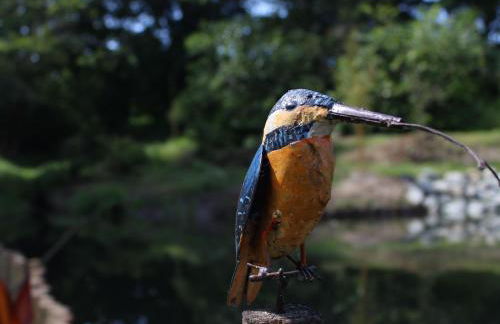 Gîte de charme proche du Mans pour 6 pers., commerces à pied, tout équipé - FR-1-410-258 - Photo 8