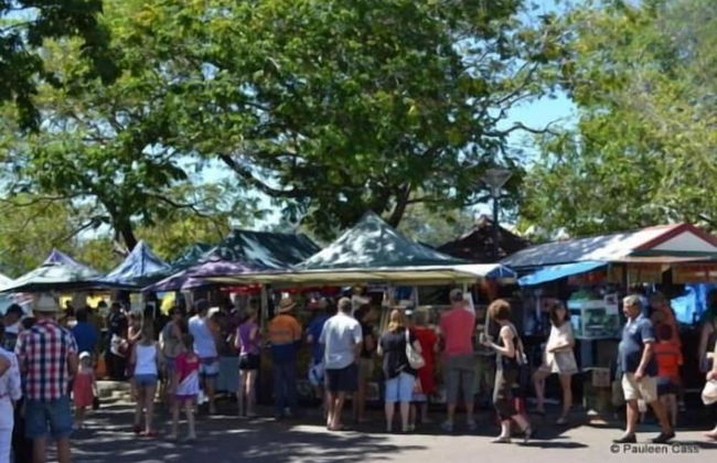 Elsey on Parap - Photo 28