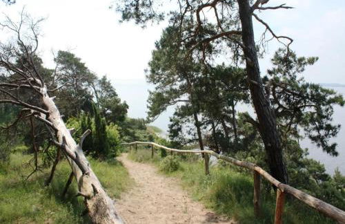 Farmstay Neuendorfkrug, Lütow - Foto 20