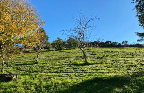 Merrivale Barn - Foto 29