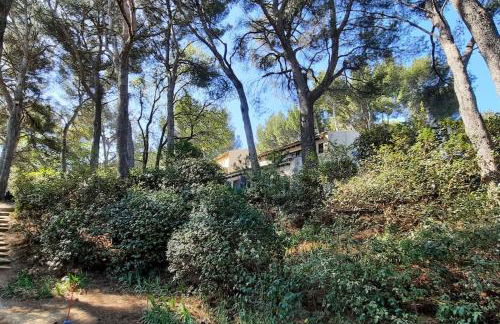 Grande villa avec piscine près d'Avignon - Jonquerettes - Photo 46