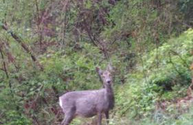 Baita Figliezzi - Foto 44