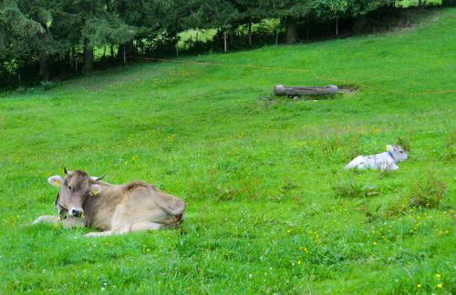Ferienwohnung Grüntenpanorama im Jägerwinkl Allgäu - Foto 33