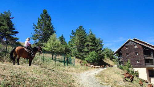 Les Cimes - La Canopée - Foto 4