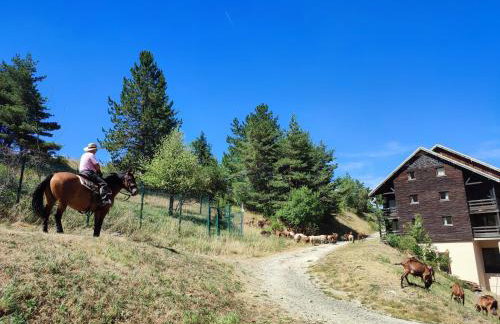 Les Cimes - La Canopée - Foto 4