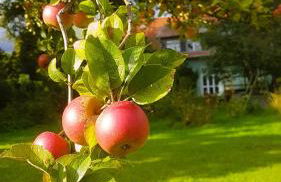 Ferienhaus Salvia - Foto 4