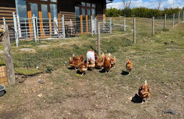 Surf Shack 1-Bed Cottage Sleeps 2 Pet Friendly - Foto 19