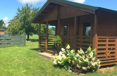 Pod Dziką Jabłonią - Foto 2