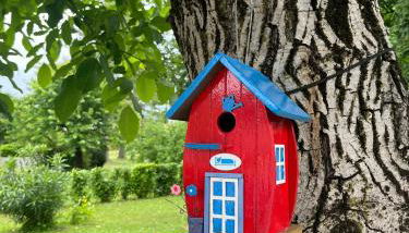 La Dolce Vita. Alloggio nel verde cuore del Friuli Venezia Giulia - Foto 2, Garden