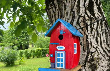 La Dolce Vita. Alloggio nel verde cuore del Friuli Venezia Giulia - Foto 2