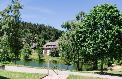 Ferienwohnungen Am Skilift - Foto 60