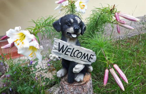 Golden Valley apartment & ranch - Foto 28