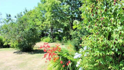 Sue's cottages - Foto 3, Garden view