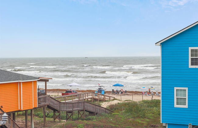 Birds of Paradise - Foto 4