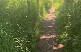 Lily s Pad - Private retreat in Lymington, New Forest - Foto 51