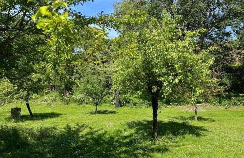 Convento San Payo - Foto 39