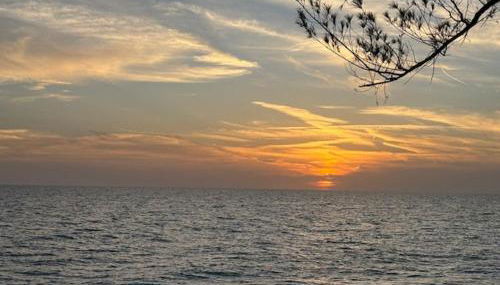 Gulf Front Cottages - Foto 3