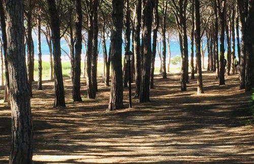 Appartamento Panorama 1 - Foto 39