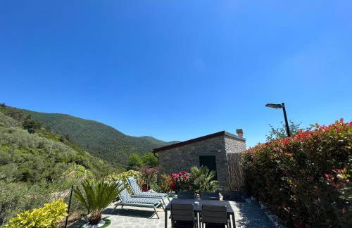 The Garden - Foto 22