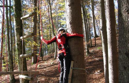 Familien-Appartement Schwarzwald bei Freiburg mit bis zu 4 Schlafzimmern - Foto 42