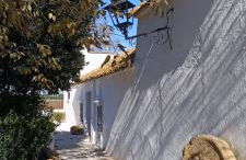 El Cortijillo de la Marquesa - Foto 1