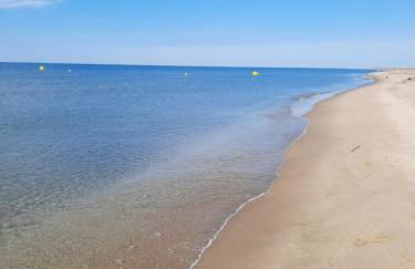 L'oiseau bleu - Foto 52