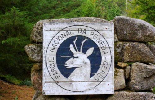 Casa das Catrinas - Photo 23