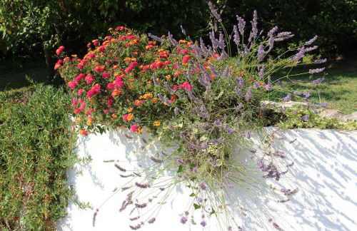 La Maisonnette du Clos - Foto 54