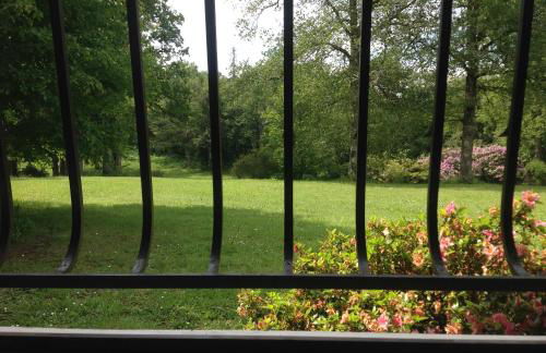 L’Etang Carp fishing lake and Gite - Foto 79