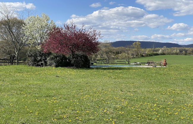 Chestnuthill Countryside Manor - Photo 18