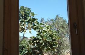 Trullo Contrada Specchi - Foto 42