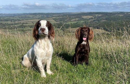 Fisherman's Daughter - Foto 44