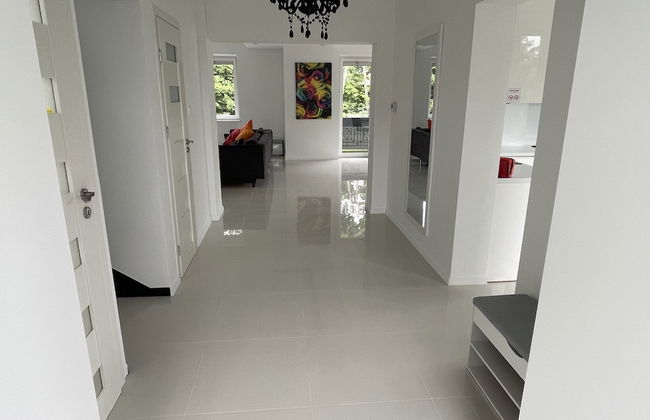 Modern House with Garden - Photo 16