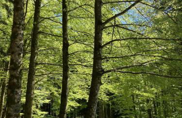 Tuscany Nature Relax - Photo 17