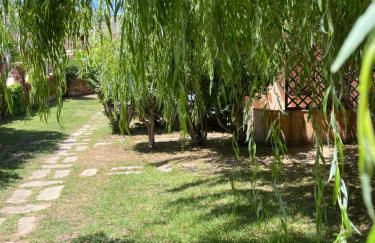 Bilocali Residenza Mediterranea Cannigione - Foto 56