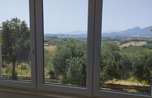 Palme e vigne - Foto 7