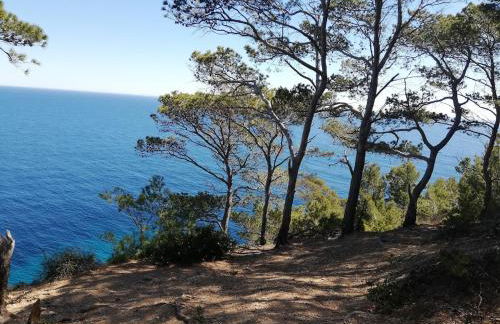 Appartement à proximité du jardin Olbius Riquier - Foto 32