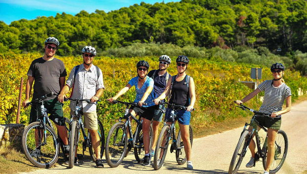 Lumbarda Bike & Wine Tasting Tour - Foto 4