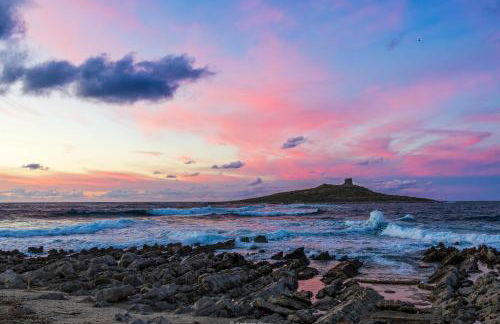 Cavalluccio Marino Holiday - Foto 38