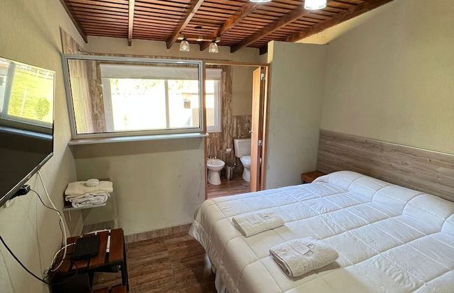 Olivos de Monte - Foto 6