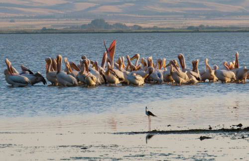 The Lake House Angeliki - Foto 87