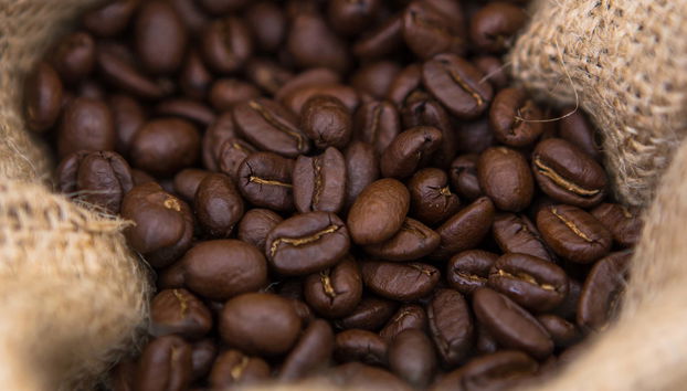 Villa Rica Coffee Tour