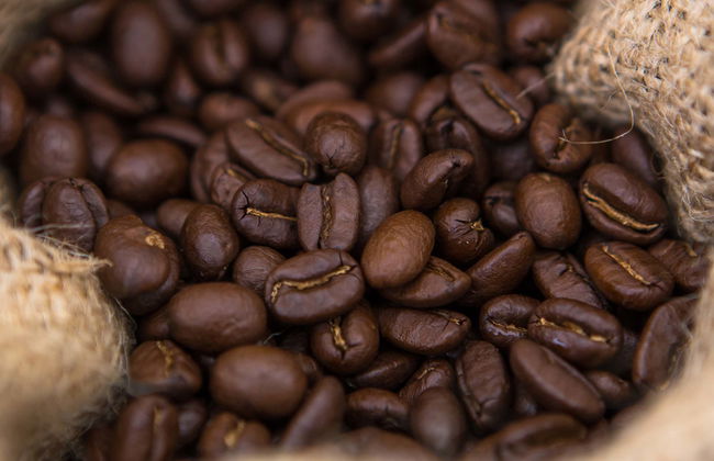 Tour del café por Villa Rica - Foto 7