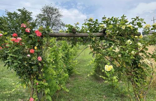 Casa Ambrogina - Foto 36