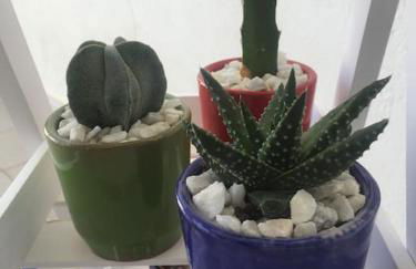 Vistas Cerro Negro - Foto 12