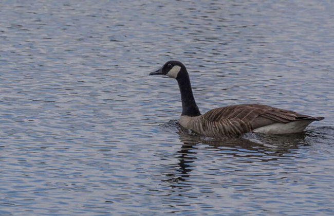 Weiherhof Comfortable Holiday Residence - Foto 8