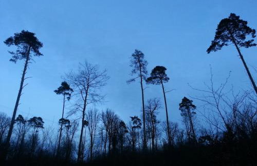 FeWo Schlossblick Marburg - Foto 6