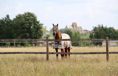 Maison Moz - Foto 35